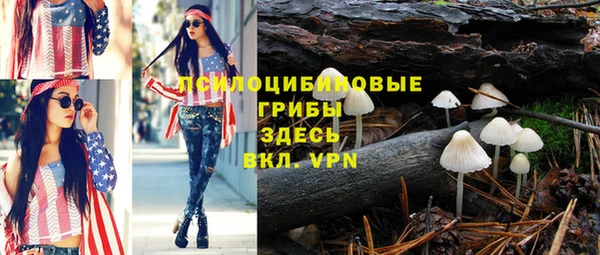 гашик Беломорск